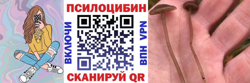 Псилоцибиновые грибы ЛСД Богородск